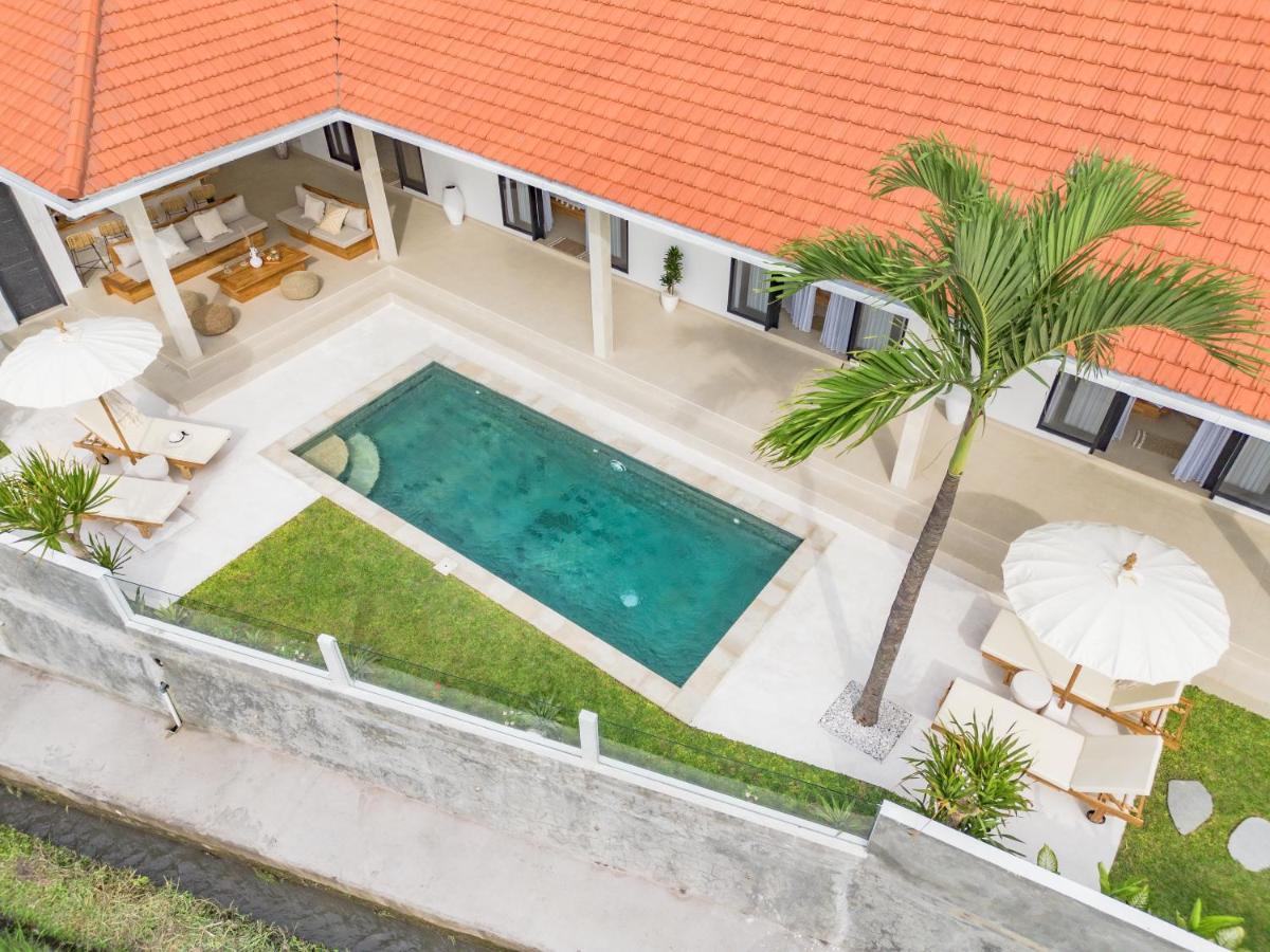 Santorini Sunset New 4 Bedroom With Beautiful Rice Paddy View And A Large Pool Canggu