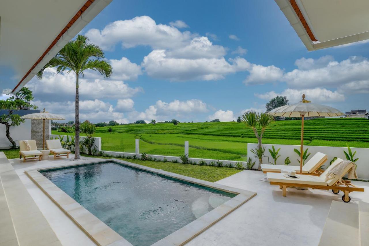 Santorini Sunset New 4 Bedroom With Beautiful Rice Paddy View And A Large Pool * Canggu