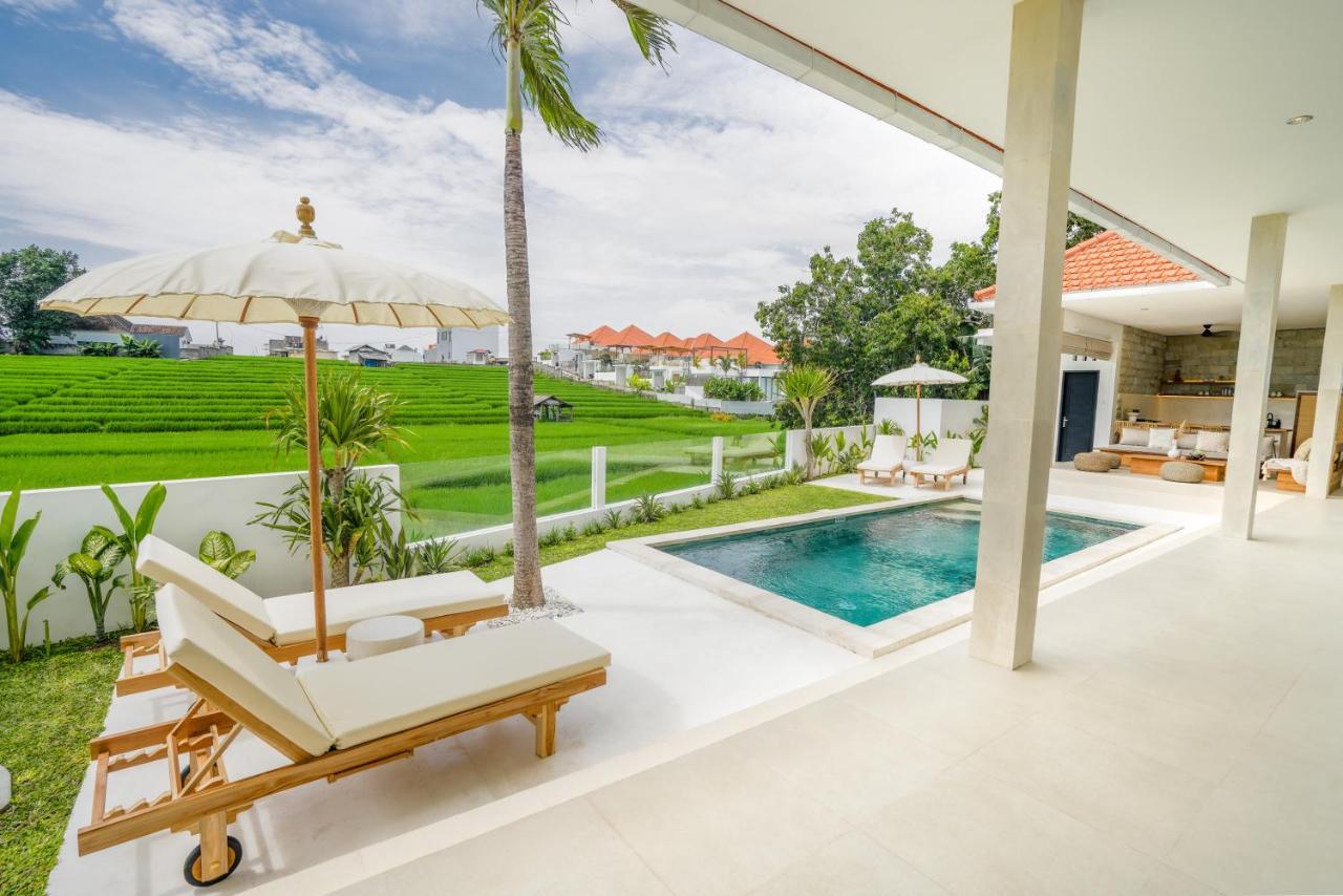 Santorini Sunset New 4 Bedroom With Beautiful Rice Paddy View And A Large Pool Canggu